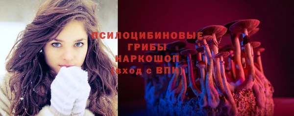 ГАЛЛЮЦИНОГЕННЫЕ ГРИБЫ Алексеевка