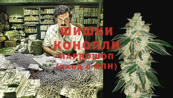 прущий лед Алзамай