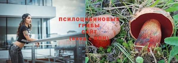прущий лед Алзамай