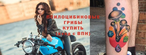 прущий лед Алзамай