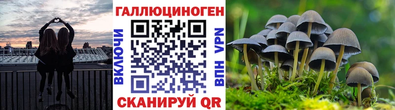 Купить  Сокол  Галлюциногенные грибы Magic Shrooms 